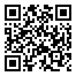 QR MAX 4K