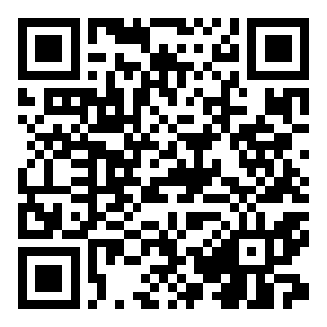 QR MAX VPN