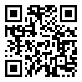 QR MAX Player